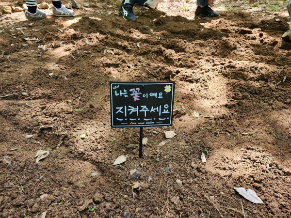 13225be8da8de8e767f3819f1e0cb3b0_1746593913_0733.jpg